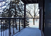 Thumbnail 14 of 14 - A snowy deck with a black railing and trees in the background.