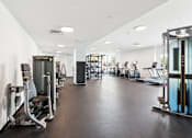 Thumbnail 18 of 26 - A gym with a variety of equipment including treadmills, weights, and exercise machines at The Point Apartments on 38th, Norfolk, Virginia