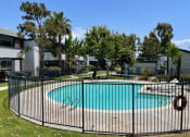 Thumbnail 3 of 10 - Fully Fenced Swimming Pool