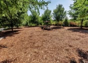 Thumbnail 41 of 54 - Large dog park with an agility piece in the middle and surrounded by big trees with ample shade