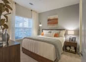 Thumbnail 6 of 78 - Large Pointe at Prosperity Village Master Bedroom in Charlotte Apartment Rentals for Rent