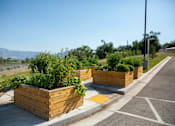 Thumbnail 14 of 20 - a row of raised garden beds on the side of a road