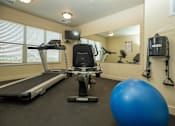 Thumbnail 5 of 20 - a home gym with a treadmill and exercise balls
