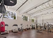 Thumbnail 15 of 31 - a workout room with treadmills and weights in a studio