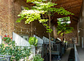 Thumbnail 4 of 12 - exterior