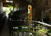 Thumbnail 8 of 12 - exterior