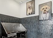 Thumbnail 16 of 16 - Pet spa with elevated washing station at The Westerly Apartments, Texas, 76065