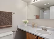 Thumbnail 22 of 33 - A Classic Bathroom at Horizon East Apartments