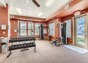 Thumbnail 13 of 20 - Fitness Center at Fox Run Lofts Apartments
