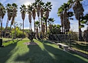 Thumbnail 10 of 29 - Paws and play at The Hills at Quail Run's dog park!  Enjoy a shaded, dog-friendly space where your furry friends can run, play, and relax.