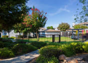 Thumbnail 25 of 28 - Dog park at Ascent at the Galleria in Roseville, California