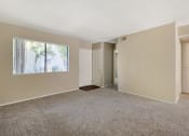 Thumbnail 13 of 22 - an empty living room with carpet and a large window