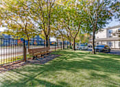 Thumbnail 5 of 33 - Our newly renovated dog park is now open, featuring fresh turf and plenty of space for your furry friends to play and socialize.