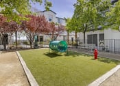 Thumbnail 14 of 45 - Unleash the ultimate in pet-friendly luxury at The Michael B! Our gated dog park offers a serene retreat with shaded trees and a cozy bench for you and your furry friend to relax and enjoy the day.at