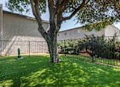 Thumbnail 5 of 19 - Dog Park at Scripps Poway Villas, Poway, 92064 