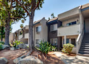 Thumbnail 19 of 19 - our apartments offer a beautiful yard for residents to enjoy at Scripps Poway Villas, Poway