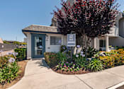Thumbnail 13 of 19 - a small white building with a tree in front of it at Scripps Poway Villas, California, 92064