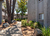 Thumbnail 15 of 19 - a walkway between two buildings with trees in the background at Scripps Poway Villas, California, 92064