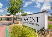 Thumbnail 50 of 50 - Welcome to Ascent at the Galleria — your new home for modern living, comfort, and community in the heart of Roseville. Experience the perfect blend of style and convenience today!