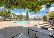 Thumbnail 3 of 50 - Our pool deck is lined with lounge chairs and surrounded by lush trees, offering shade, comfort, and scenic views—just steps from the clubhouse and leasing office at Ascent at the Galleria.