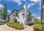 Thumbnail 48 of 50 - Ascent at the Galleria features meticulously maintained landscaping, offering a stunning and polished outdoor setting that adds to the community’s welcoming atmosphere.