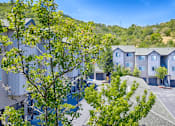 Thumbnail 3 of 28 - Resort style community at Crooked Oak at Loma Verde Preserve, Novato, California