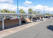 Thumbnail 39 of 46 - A parking lot with cars parked under a canopy.