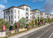 Thumbnail 42 of 46 - A row of modern townhouses with a street in front.