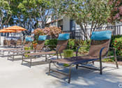 Thumbnail 29 of 48 - a row of park benches with umbrellas and trees in the background at La Serena, San Diego, 92128