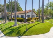 Thumbnail 39 of 48 - a house with tall palm trees in front of it at La Serena, San Diego, CA 92128