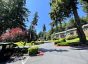 Thumbnail 13 of 18 - a parking lot with a flag in front of an apartment building