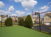 Thumbnail 35 of 41 - Half Court Basketball