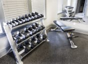 Thumbnail 27 of 31 - Free Weights