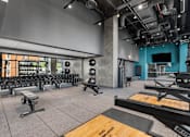 Thumbnail 39 of 39 - A gym with a variety of equipment including dumbbells, weight plates, and a squat rack at Link Apartments® QPN, Long Island City, New York