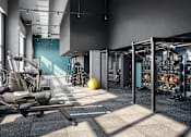 Thumbnail 19 of 34 - a large fitness room with weights machines and a large yellow ball