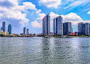 Thumbnail 34 of 34 - a view of miami from the water