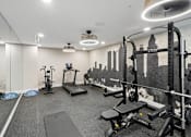 Thumbnail 19 of 22 - Fitness center with cardio and strength equipment at Link ® Lake Park Apartments, Georgia, 30080