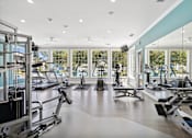 Thumbnail 12 of 20 - modern fitness center