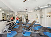 Thumbnail 12 of 21 - A gym with a variety of equipment including weights and a rowing machine.