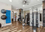 Thumbnail 14 of 30 - a gym with a bunch of punching bags in it
