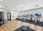 Thumbnail 12 of 18 - Modern fitness center at North Peak