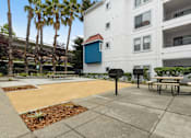 Thumbnail 18 of 22 - BBQ Area at Del Norte Place Apartment Homes