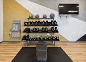 Thumbnail 14 of 18 - Free weights at North Peak