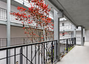Thumbnail 21 of 22 - Patio Photo at Del Norte Place Apartment Homes