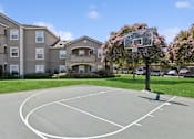 Thumbnail 18 of 20 - an outdoor basketball court in front of an apartment building