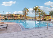 Thumbnail 16 of 38 - A pool surrounded by palm trees and benches.