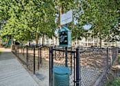 Thumbnail 22 of 27 - Dog park at Thorncroft