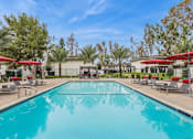 Thumbnail 7 of 17 - A large swimming pool surrounded by lounge chairs and umbrellas.