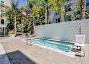 Thumbnail 20 of 40 - a swimming pool in the middle of a building with palm trees