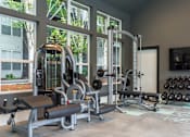Thumbnail 17 of 17 - A gym with a variety of equipment including a treadmill, weights, and a bench.